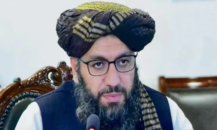 ভারতে এই প্রথম আফগান দূতাবাসের দায়িত্বে তালেবান কূটনীতিক